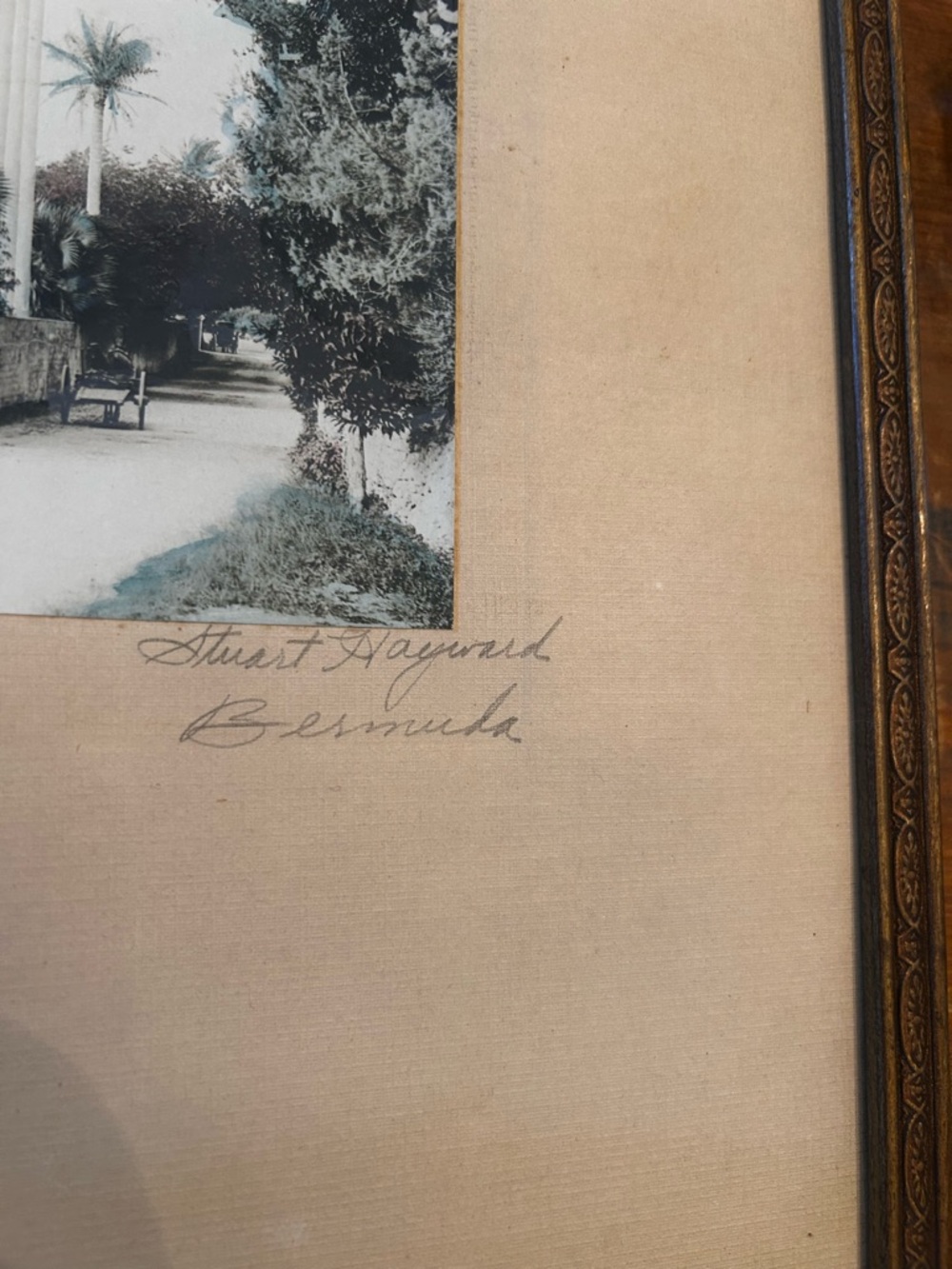 Orig. SIGNED hand-tinted 1920 photograph by Stuart Hayward. Royal Palms, Bermuda - Picture 5 of 9